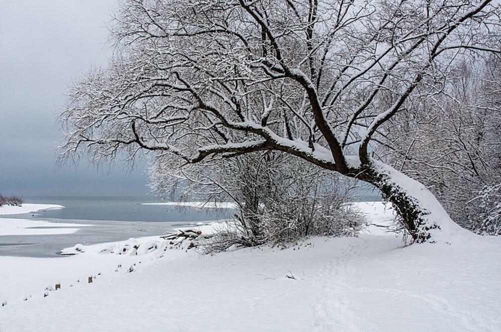 Zum Seglerhafen - Ferienappartement Kressbronn am Bodensee Buitenkant foto