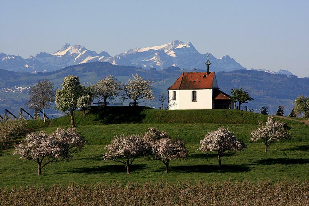 Zum Seglerhafen - Ferienappartement Kressbronn am Bodensee Buitenkant foto